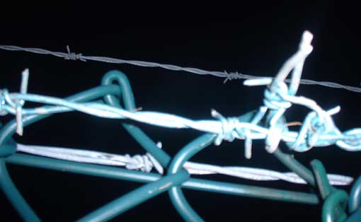 Barbed wire