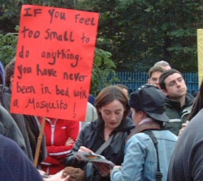 Mosquito against the war